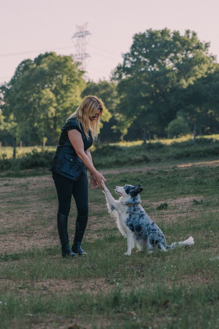 Mastering the First Impression: Your intriguing post title goes here A woman is training a dog in a scenic park, showcasing outdoor pet activities.